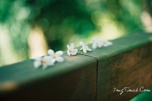 要整容,不如先整心