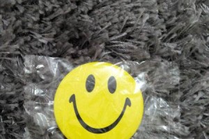 三个曾经让人一夜暴富的项目