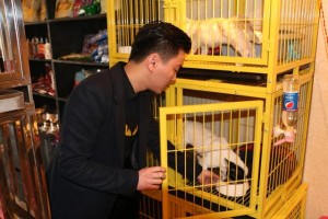 福州80后小伙林锦捷:开宠物店创业 从狗保姆到宠物店Boss