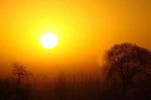 人的一生有三件事情不能等