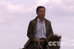 王德亮:养珍珠鸡灭蝗虫三个月赚三百万