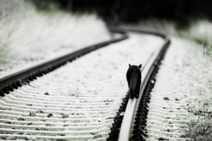 汽车服务O2O-Yocar周新楷:2014年,我们创业失败了