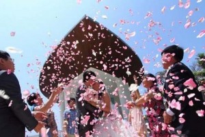 80后陈妍:独辟蹊径卖花瓣 两年赚了100万