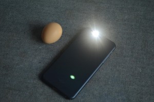 摇一摇真的能辨别鸡蛋的好坏吗?说出来你都不信!