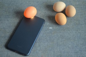 摇一摇真的能辨别鸡蛋的好坏吗?说出来你都不信!