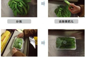 生鲜蔬菜商品包装及加工标准要求